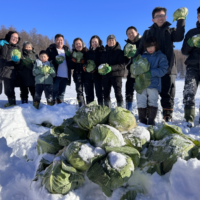 <<「越冬野菜探險隊！」雪中尋找捲心菜體驗>>