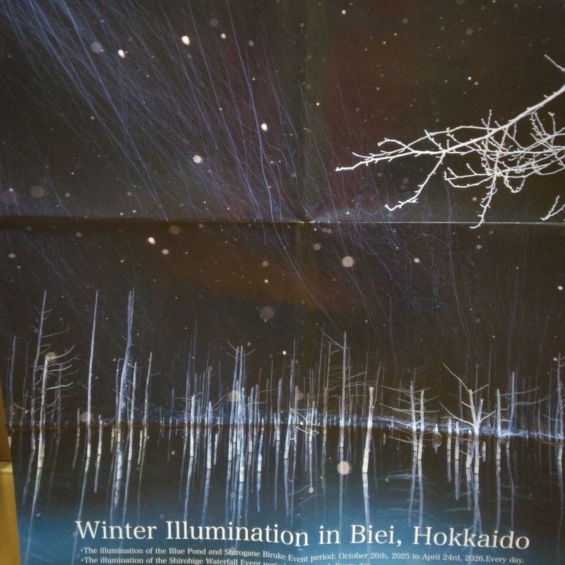 Blue Pond Illumination