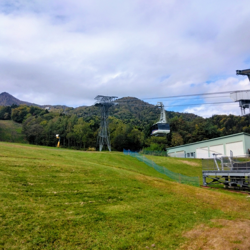 Ropeway Autumn Viewing