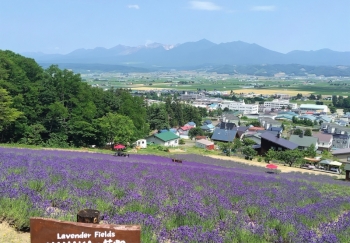 NANAKAの花畑